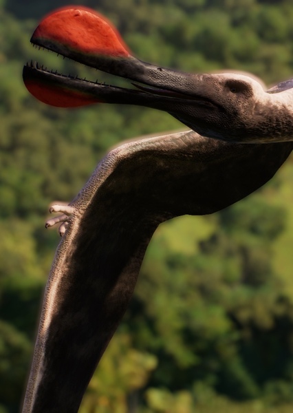 Tropeognathus