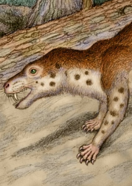 Trucidocynodon photo