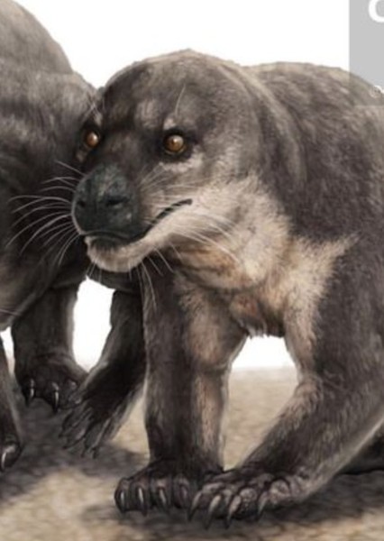 Trucidocynodon photo