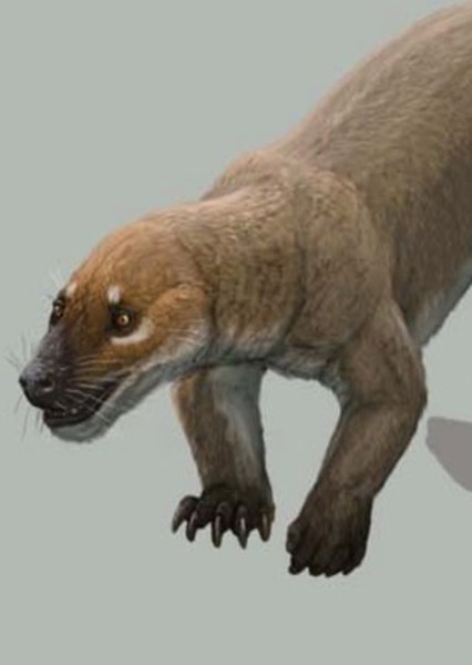 Trucidocynodon photo