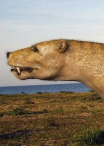 Trucidocynodon photo