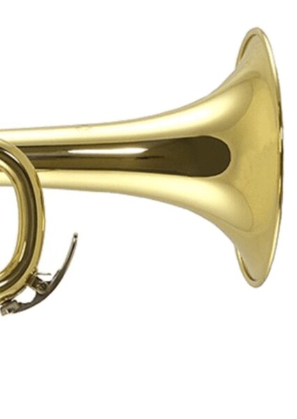 Trumpet SFX photo