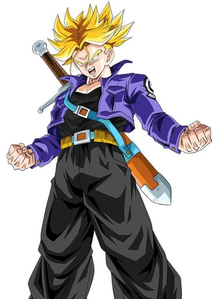 Trunks photo