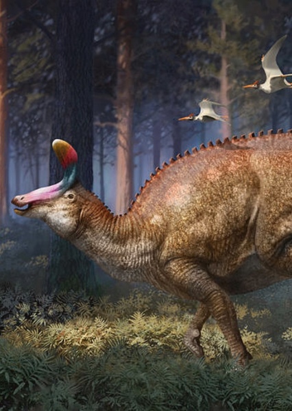 Tsintaosaurus photo