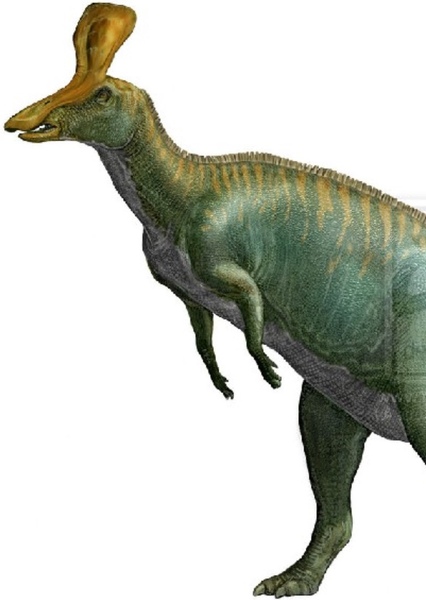 Tsintaosaurus