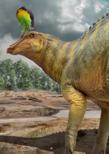 Tsintaosaurus photo