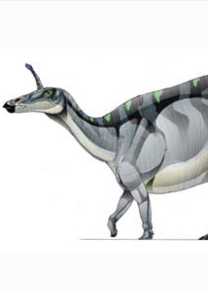 Tsintaosaurus photo