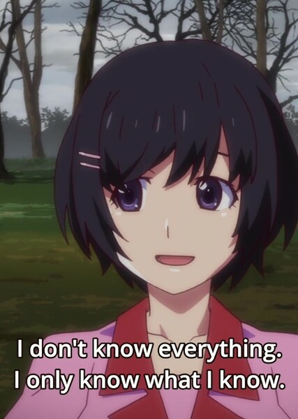 Tsubasa Hanekawa photo