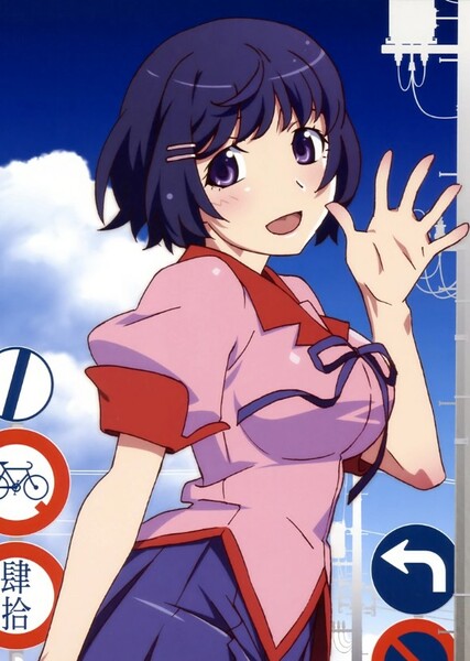 Tsubasa Hanekawa