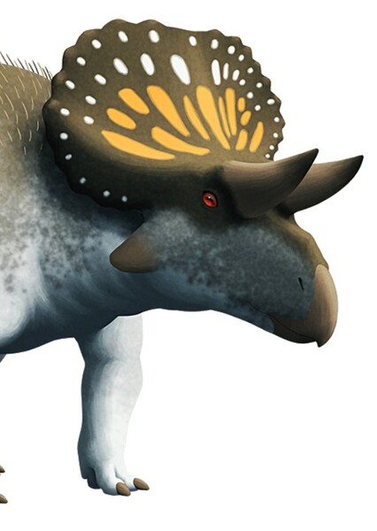Turanoceratops photo