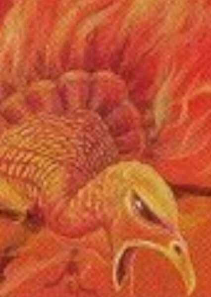 Turkey of Bogardan