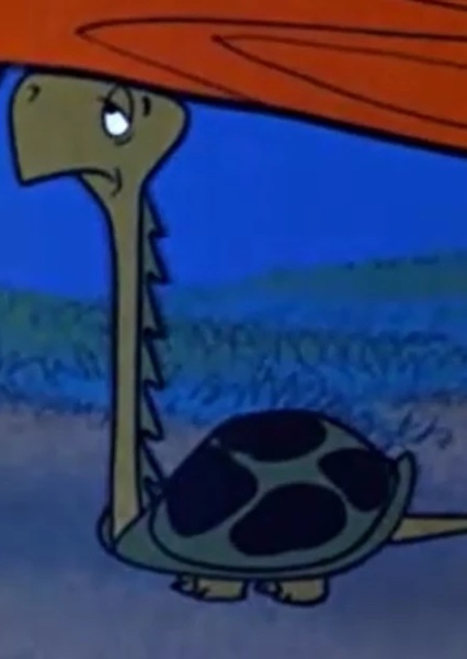 turtle