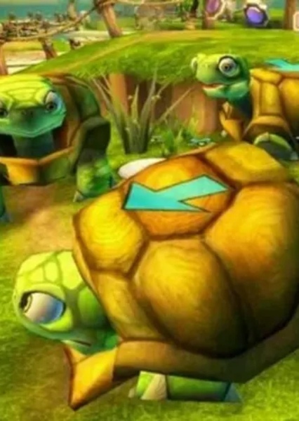 turtle photo
