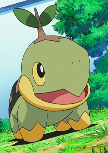 Turtwig photo
