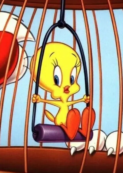 Tweety photo
