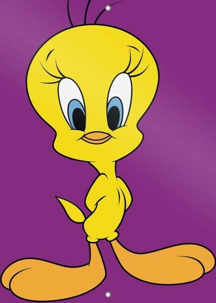 Tweety photo