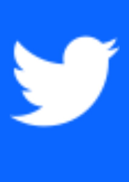 Twitterbook (rede social)