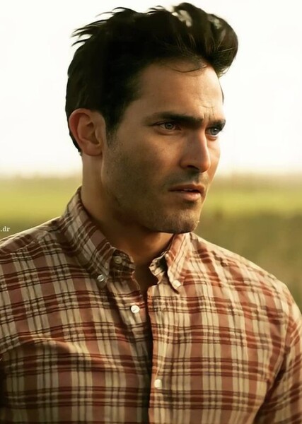 Tyler Hoechlin photo