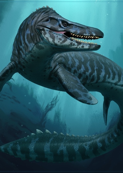 Tylosaurus photo