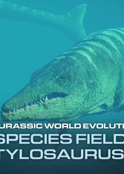 Tylosaurus photo