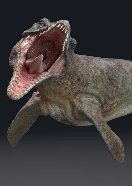 Tylosaurus photo