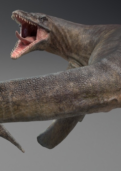 Tylosaurus photo