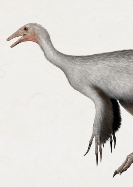 Tyrannomimus