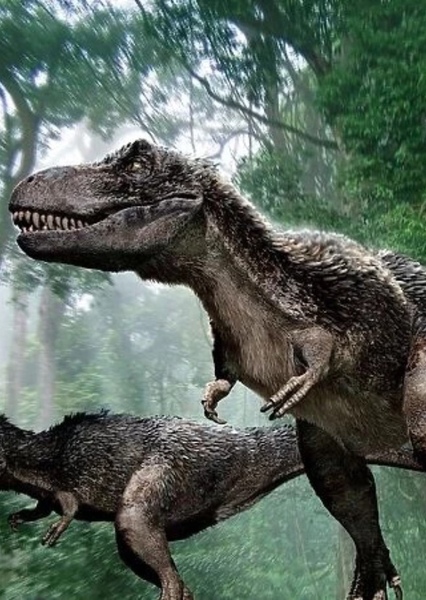 Tyrannosaurus Rex photo