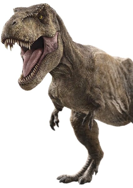 Tyrannosaurus Rex photo