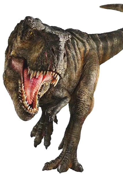 Tyrannosaurus Rex photo