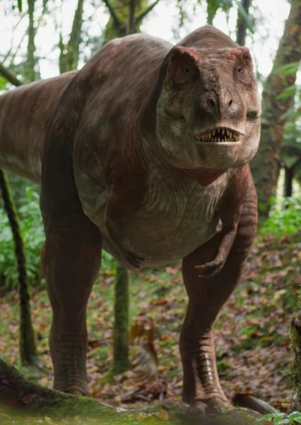 Tyrannosaurus Rex photo