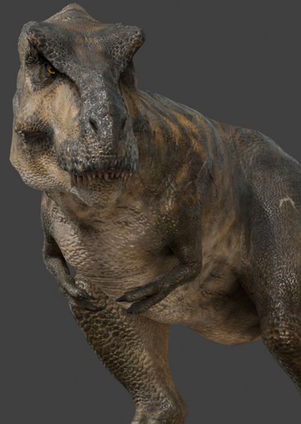 Tyrannosaurus Rex photo