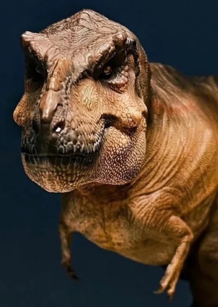 Tyrannosaurus Rex photo