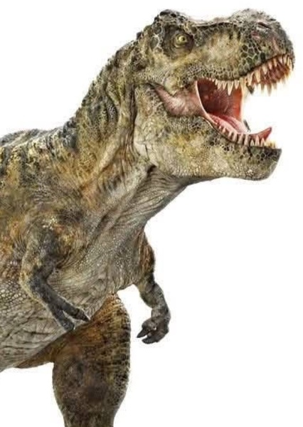 Tyrannosaurus Rex photo