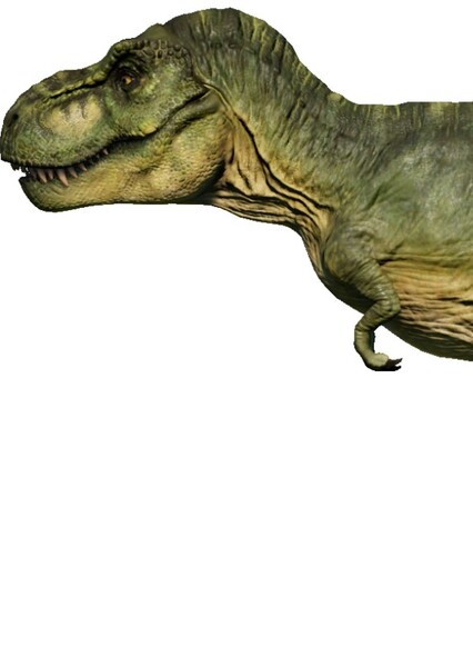 Tyrannosaurus Rex photo