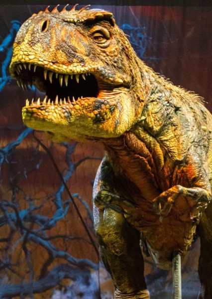 Tyrannosaurus Rex photo