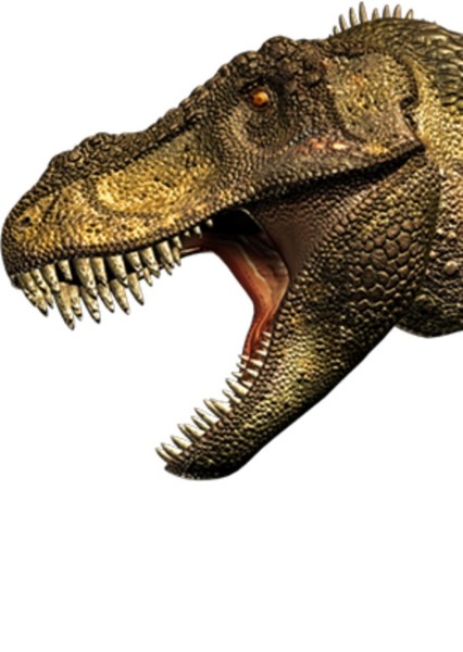Tyrannosaurus Rex photo