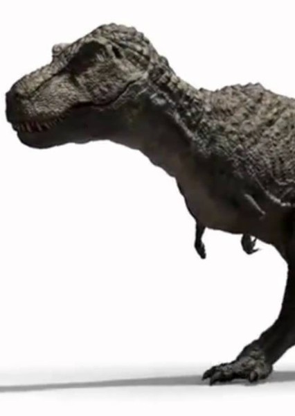 Tyrannosaurus Rex photo