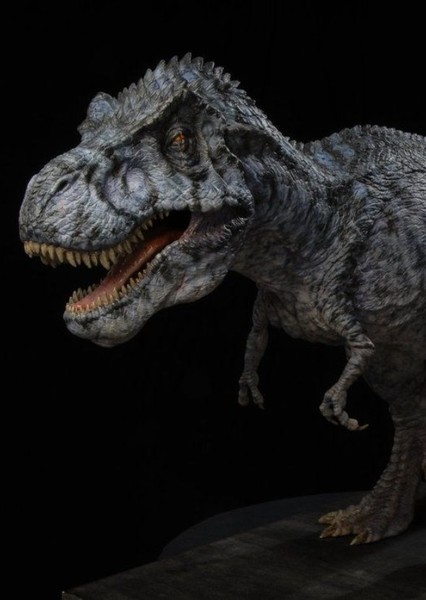 Tyrannosaurus Rex photo
