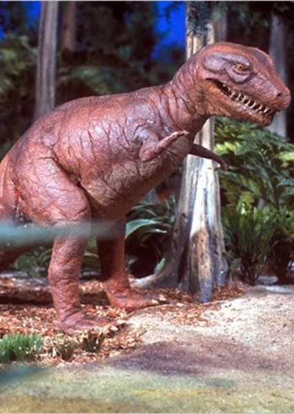 Tyrannosaurus Rex photo
