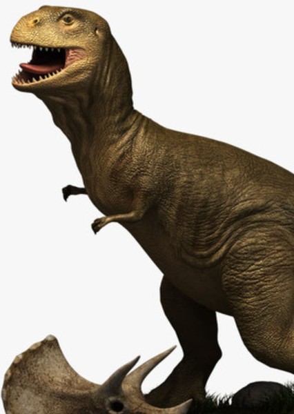 Tyrannosaurus Rex photo