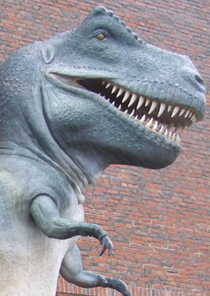 Tyrannosaurus Rex photo