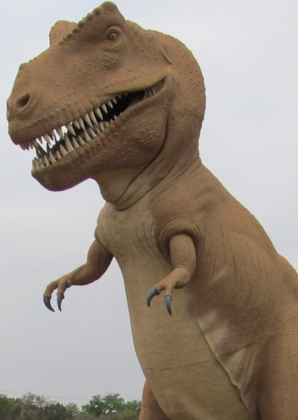 Tyrannosaurus Rex photo