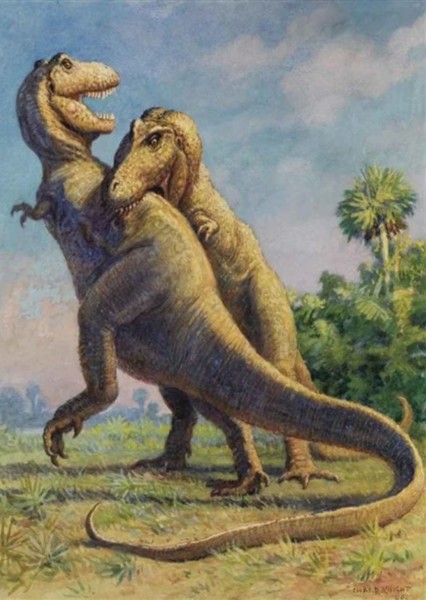 Tyrannosaurus Rex photo