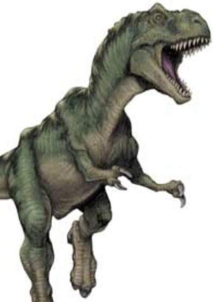 Tyrannosaurus Rex photo