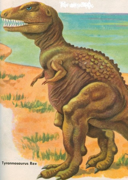 Tyrannosaurus Rex photo