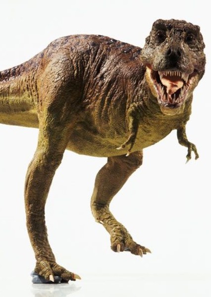 Tyrannosaurus Rex photo