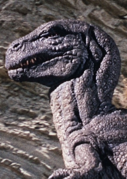 Tyrannosaurus Rex photo