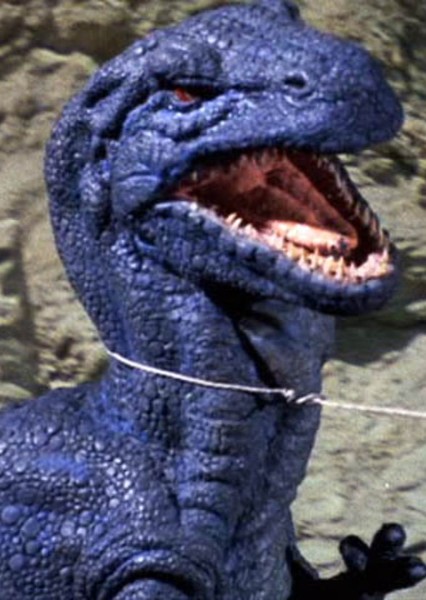 Tyrannosaurus Rex photo