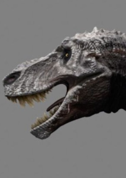 Tyrannosaurus Rex photo